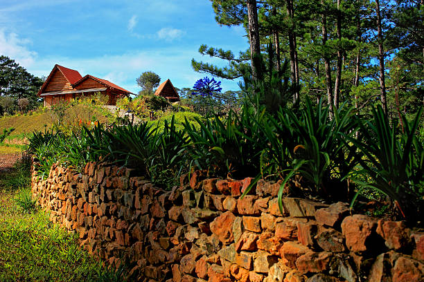 istock Houses in Dalat pine forest 187150645