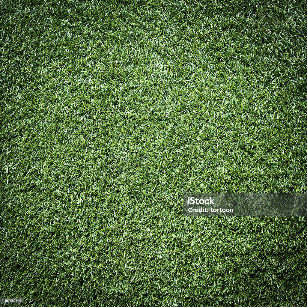 Turff Texture Turf Grass Texture And Surface Stock Photo - Download Image Now ...