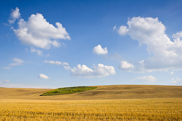 istock Polish countryside landscape 187151027