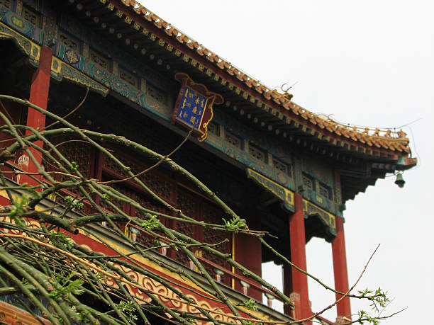 istock Yonghe Temple, Beijing 187151560