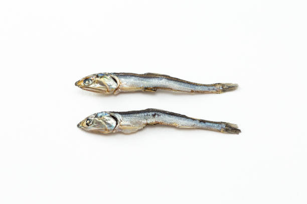 istock Dried sardines on a white background. 1871538831