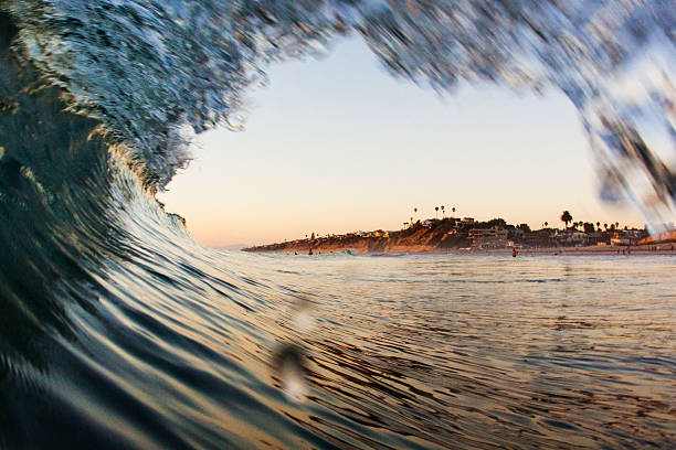 흔들다 - california encinitas beauty in nature blue 뉴스 사진 이미지