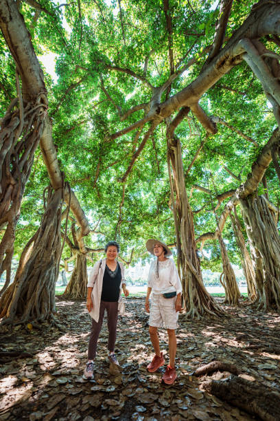 istock Active Korean senior women on forest bathing hike 1871557740