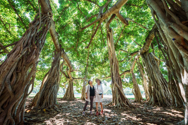 istock Active senior woman enjoying nature walk in Hawaii 1871557742