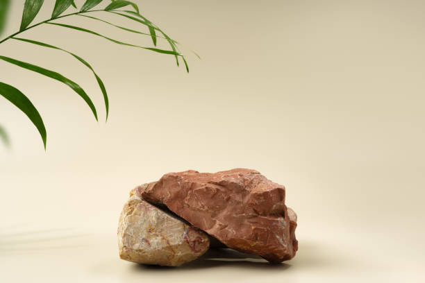 istock Granite stone with branch green leaf on beige background 1871558787