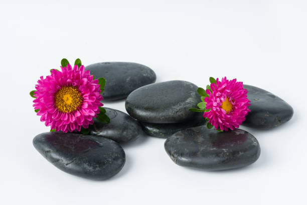 istock Spa stones and flowers on the white background 1871565638