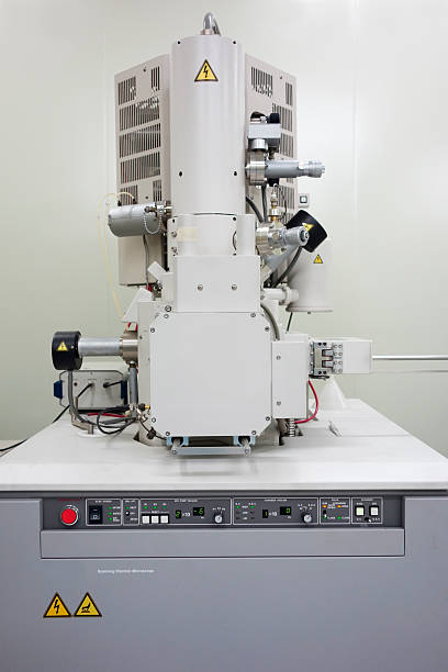 rasterelektronenmikroskop - scandic stock-fotos und bilder