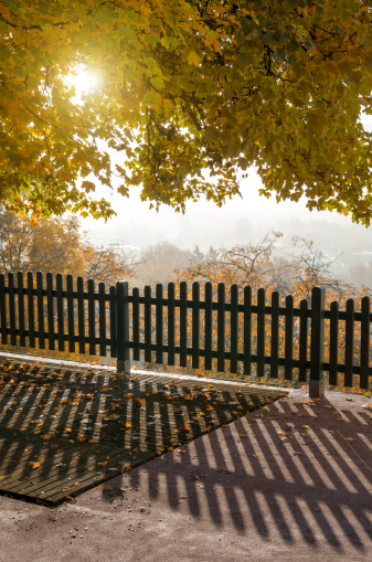 sunrise in morning fog with shadows of a fence