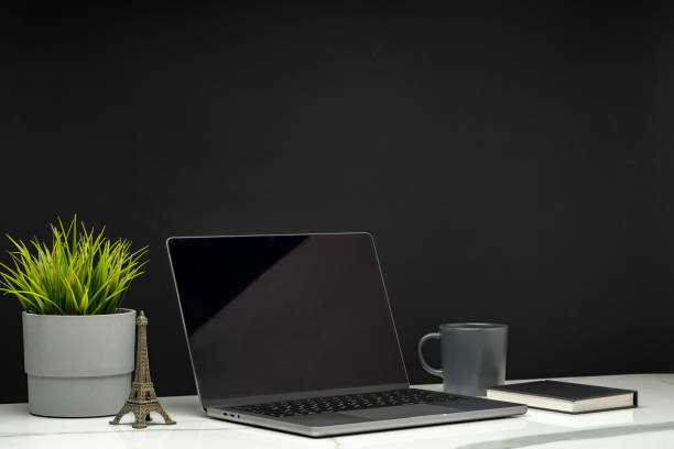 istock Laptop with green leafy potted plant on black background 1871604835