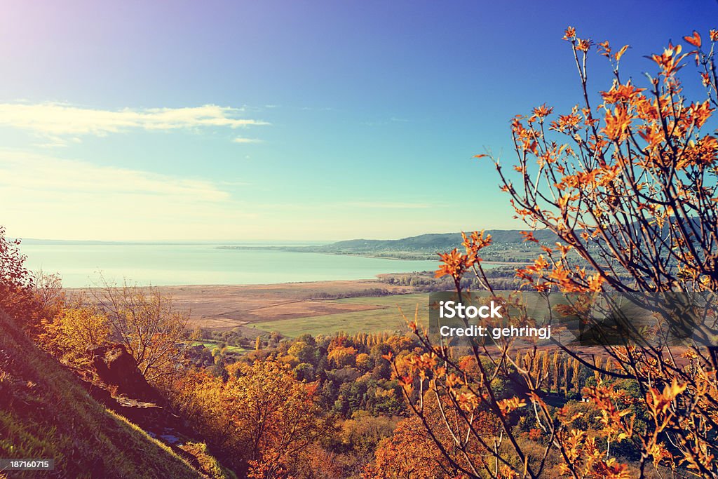 Soleggiato pomeriggio autunnale presso il Lago Balaton. - Foto stock royalty-free di Autunno