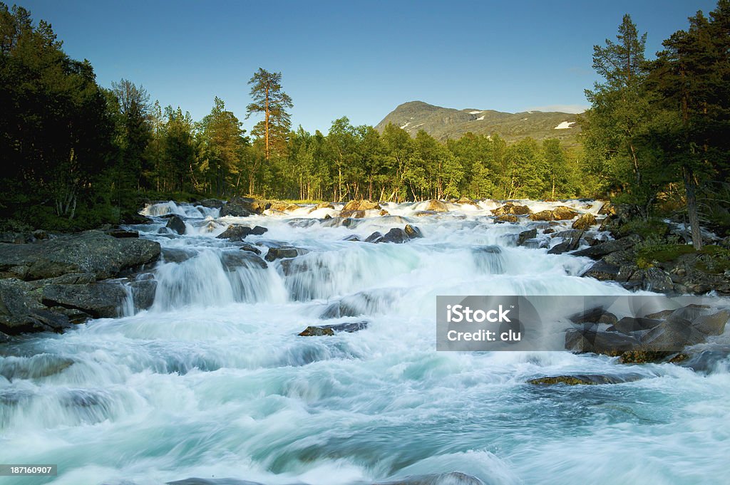 River in norway Seen in Norland Forest Stock Photo