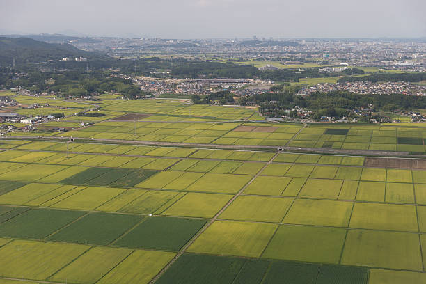 istock High angle view of Sendai in Japan 187161761