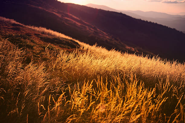 istock Autumn in the Mountains 187164265
