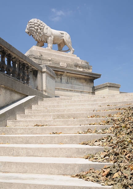 istock Lion, Tuileries Garden, Paris 187164354