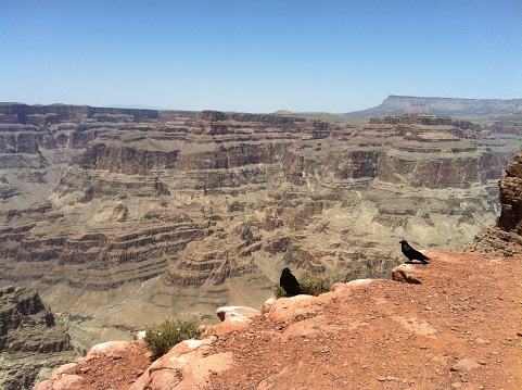 The West Rim, Grand Canyon National Park, Arizona in 2015, June 2015