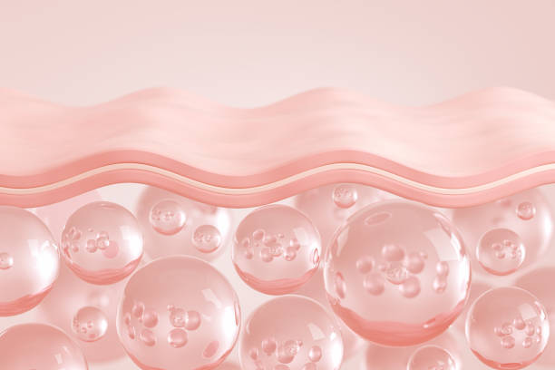 istock saggy skin layer and skin cells, 3D rendering. 1871657312