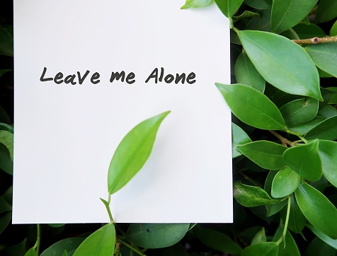 A white paper note in the tree bush , with text written LEAVE ME ALONE! Concept of feeling overwhelmed,  refrain from disturbing, need privacy, depression
