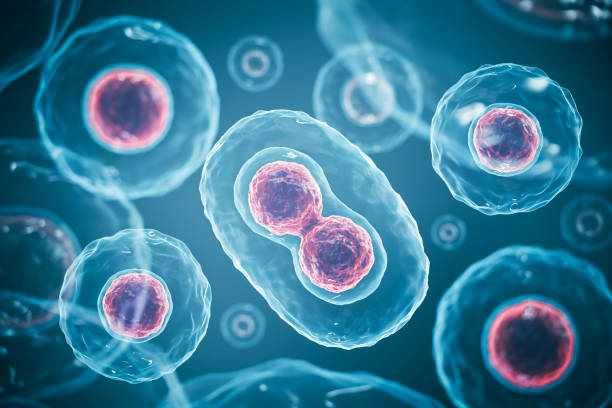 istock 3d rendering of Human cell or Embryonic stem cell microscope background. 1871660065