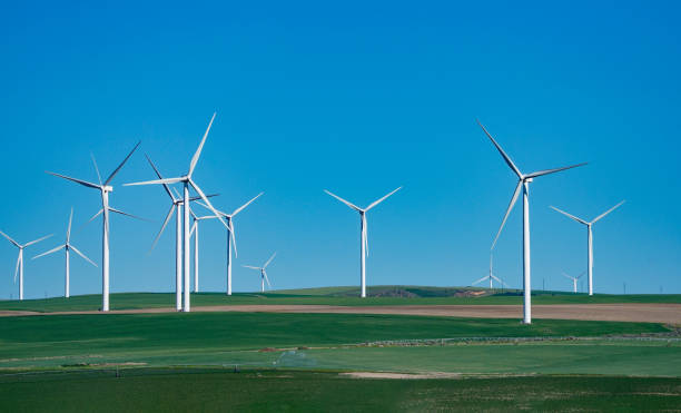 istock wind turbine on green meadow 1871663377