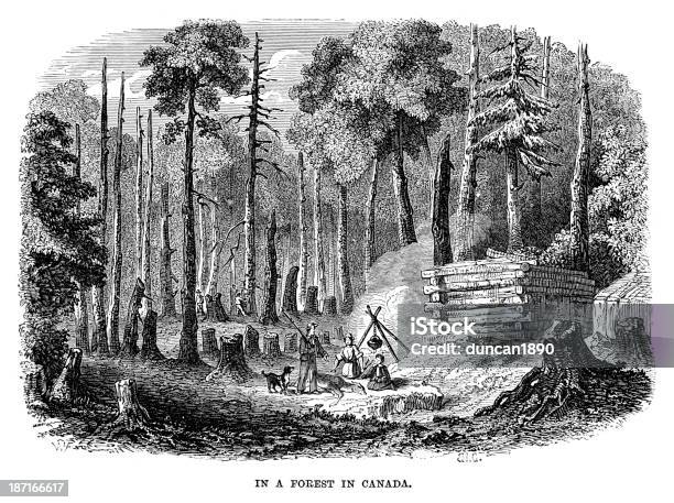 Wald In Kanada Stock Vektor Art und mehr Bilder von Holzfäller - Holzfäller, 19. Jahrhundert, Abholzung