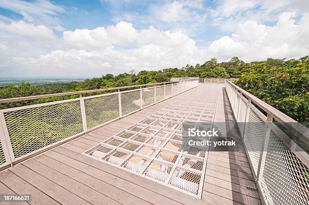 橋 - ハイキングのストックフォトや画像を多数ご用意 - ハイキング, ヘルスケアと医療, 写真