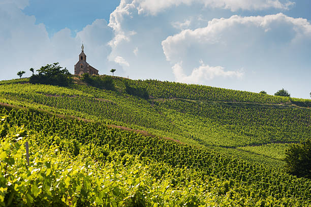 Vineyards at Beaujolais, France. View at the vineyards of Fleurie and the chapel " Madone de Fleurie" in Beaujolais ,France. burgundy france stock pictures, royalty-free photos & images