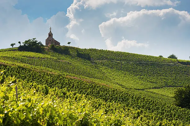 View at the vineyards of Fleurie and the chapel " Madone de Fleurie" in Beaujolais ,France.