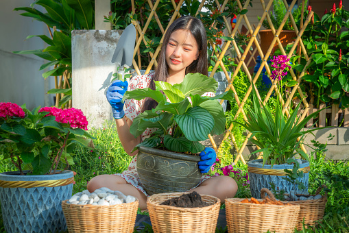 Asian woman gardener relax in her home garden with flower pot and gardener material tool with green background