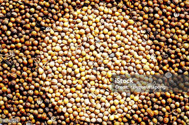 Semi Di Coriandolo - Fotografie stock e altre immagini di Additivi alimentari - Additivi alimentari, Cibo, Composizione orizzontale