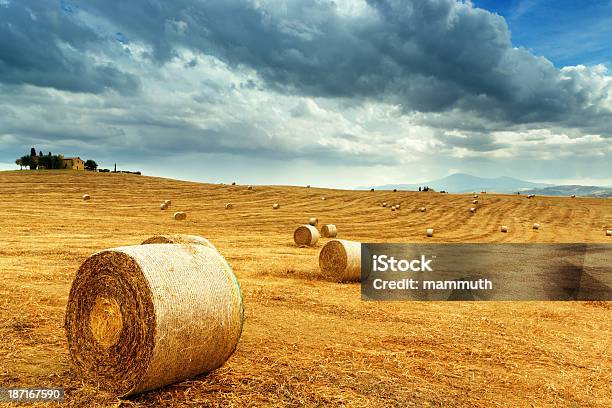 Paisaje De Toscana Con Haybales Foto de stock y más banco de imágenes de Aire libre - Aire libre, Ajardinado, Bala - Cultivado