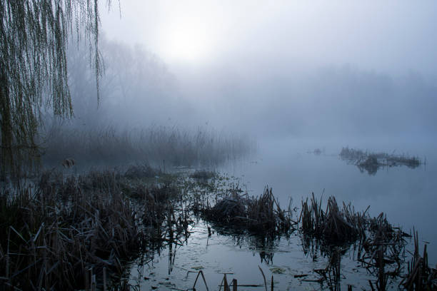 istock morning fog on the lake 1871681404