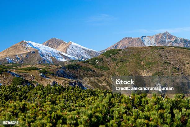 Foto de Paisagem De Montanha e mais fotos de stock de Paisagem - Natureza - Paisagem - Natureza, Pinus Mugo, 2000-2009