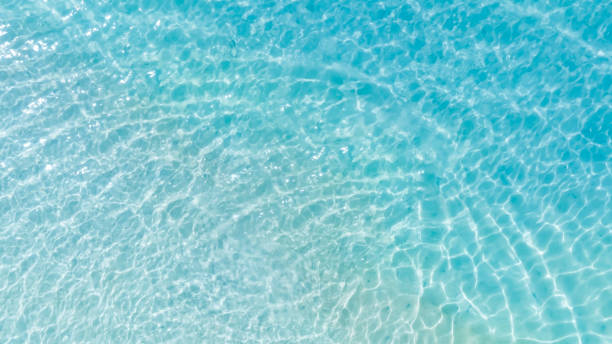 istock Tropical beach water  with crystal clear water on beach background 1871683544