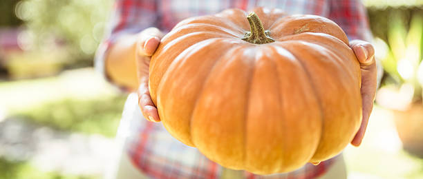 istock holding a pumpkin for the halloween party 187168697