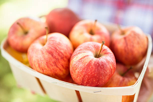 istock Holding a basket of apple in autumn 187168706