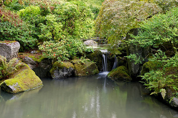 Japanese Garden Portland Oregon Small Waterfall Pond An early fall day looking at trees and a pond with a small waterfall at the Portland Japanese Garden. This is located in the Pacific Northwest in in Portland, Oregon. Property release on file. I am a Photographer level member of the Portland Japanese Garden as required by the Garden for Commercial use of photos. portland japanese garden stock pictures, royalty-free photos & images