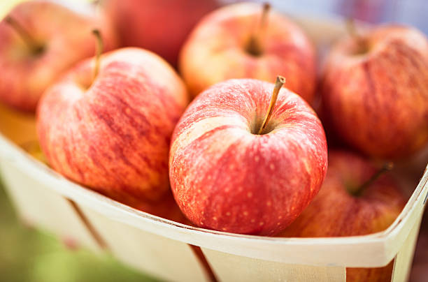 istock Holding a basket of apple in autumn 187169202