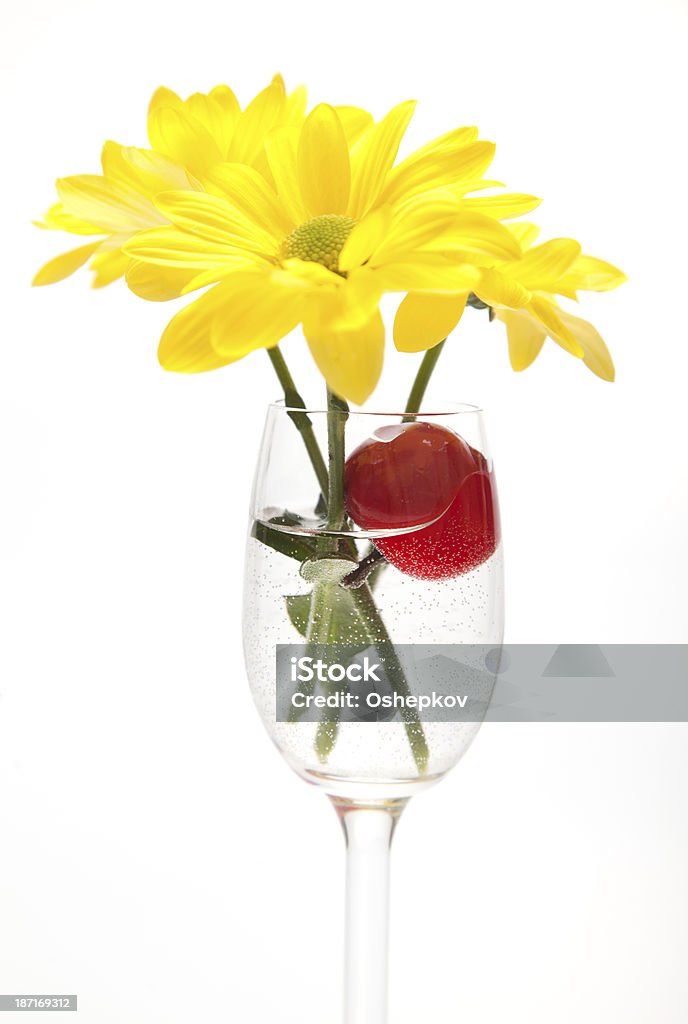 黄色の花畑白背景 - お祝いのロイヤリティフリーストックフォト