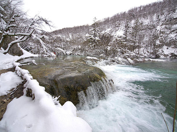 detalhes em plitcice - plitvice lakes national park croatia winter sparse - fotografias e filmes do acervo