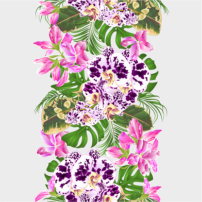 Tropical border seamless background orchid spotted Phalenopsis    with   palm,philodendron and ficus vintage vector illustration  editable hand draw