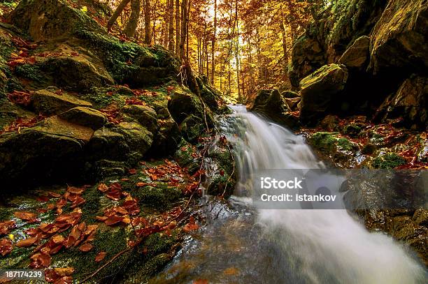 Otoño Creek Foto de stock y más banco de imágenes de Abedul - Abedul, Agua, Agua del grifo