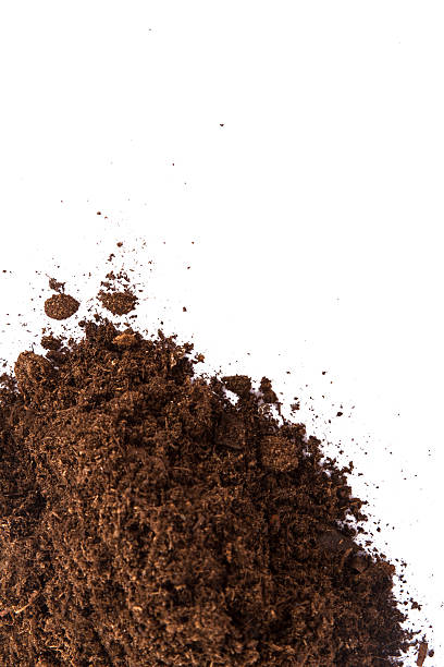istock Pile of Soil 187175109