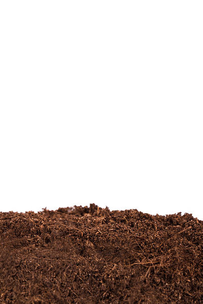 istock Pile of Soil Border 187175120