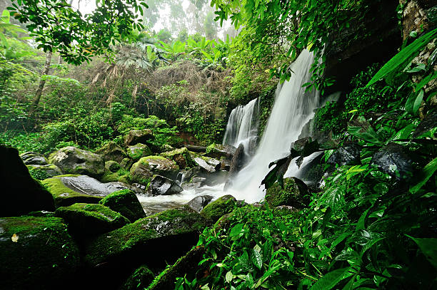Beautiful waterfall in the tropical forest stock photo