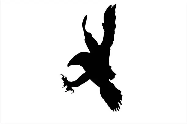 Vector illustration of An eagle at the moment of attack. Vector image. White background.