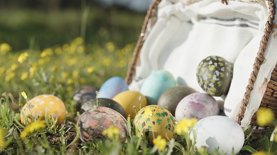 The wicker basket with Easter eggs has fallen and the decorated eggs are lying on the green grass among the yellow flowers. Close up