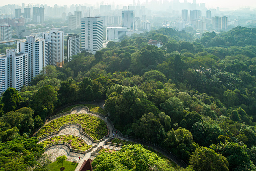 Aerial view of forest park next to residential estate in Singapore