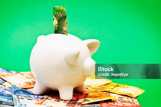 Successful South African Piggybank Surrounded By Banknotes Stock Photo - Download Image Now