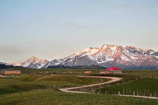 istock The road in grassland, Xinjiang 187180683