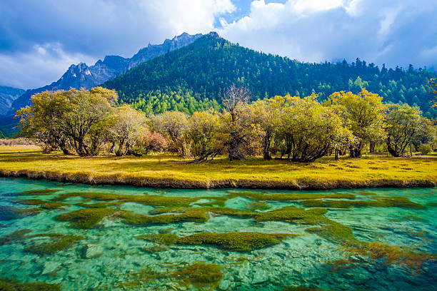 istock autumn of forest 187181240